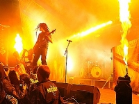 Zonaria at Döbelns 2